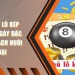 Bạch Thủ Lô Kép Khung 2 Ngày Đặc Điểm Và Cách Nuôi Bất Bại